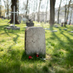 Guia Completo do Crematório em SP: Como Funciona e Etapas